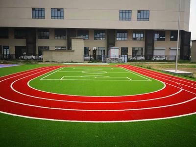 幼儿园景观草坪