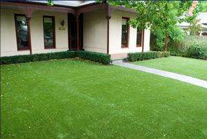 路径、景观草坪